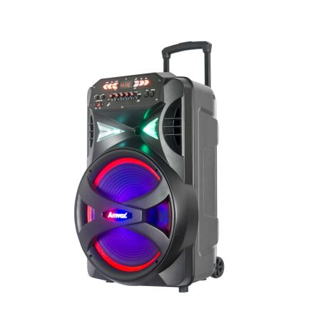 CAIXA AMPLIF. AMVOX ACA855